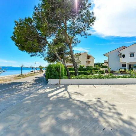 On Island Near Sandy Beaches Vir